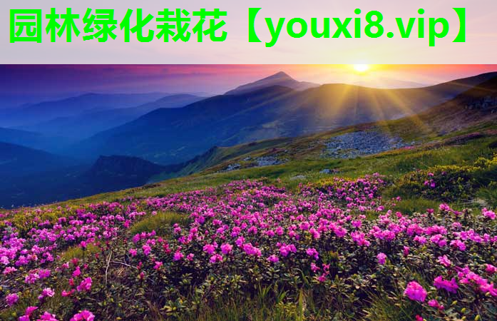 园林绿化栽花